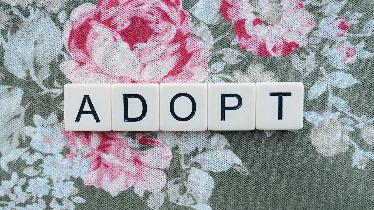 adoption in india